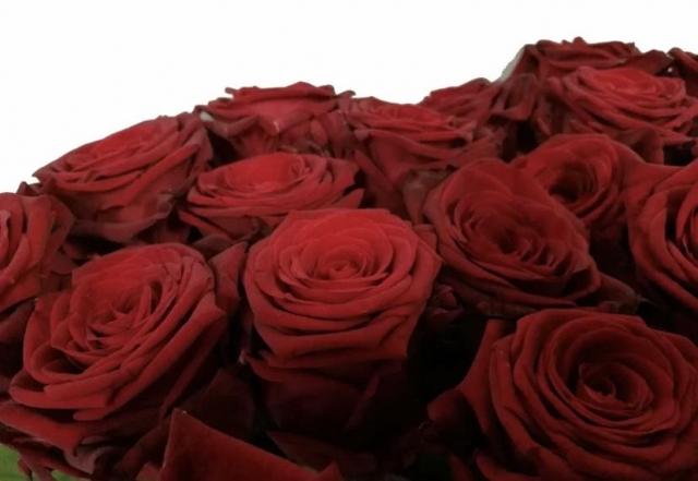 Mayra’s Red (Майра Ред)